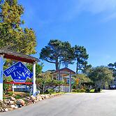 Bide-A-Wee Inn