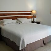 Hotel Casa del Arbol