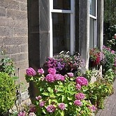 Highfield Guest House