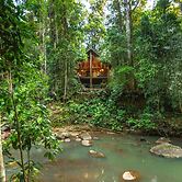 The Canopy Rainforest Treehouses and Wildlife Sanctuary