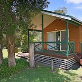 Gateway Lifestyle Lorikeet