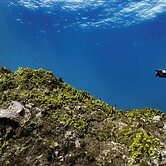 Four Seasons Resort and Residence Puerto Rico