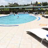 Giraffe Ark Game Lodge