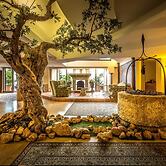 BV Grand Hotel Assisi