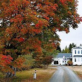 The Parrsboro Mansion Inn