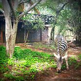 Phumula Kruger Lodge
