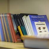 COCO-MAT Hotel Nafsika