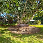 Camelot Boutique Accommodations