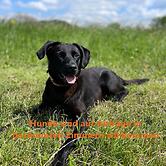 Hirschenstube Gästehaus Gehri