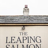 The Leaping Salmon