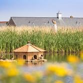 The Bay Filey Holiday Village