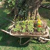 Pousada Dedo de Deus