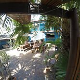 Cool Bananas Backpackers