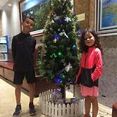 Aroma Cat Ba sea view hotel