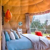 Domescapes in the Vines