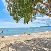 Tropical Oasis near Beach