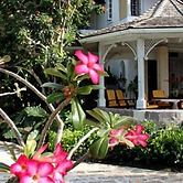 Emerald Beach 1 - Villa Solandra