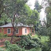 Jungle Valley Resort