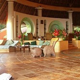 Tres Palmas Costa Rica