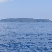 Garden of Heliconias Lodge