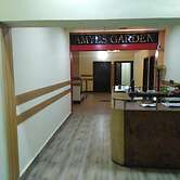 Amyls garden