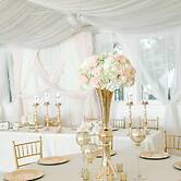 Georgia Palms & Gardens