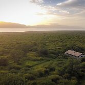 Africamps at White Elephant Safaris