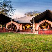 Instinct of the Mara