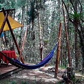 Glamping tipo safari