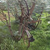 Rancho El Caballero Hotel