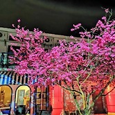 Sanyi House