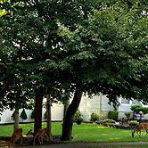 America Sandman B & B