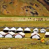 Marmote Camps - Sarchu