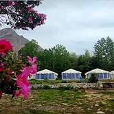 TIH Julley World Camp