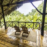 Dominican Tree House