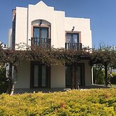 BO052 by Villaofsummer