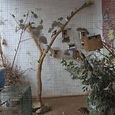 Albergue Camino de Santiago - Hostel