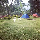 Ben And Lily Cottages