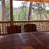 Cabin in the Pines - B