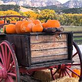 Arrowhead Country Cabins