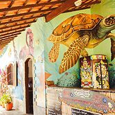 Beach Hostel & Suites Los Pibes de Flores