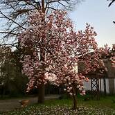 Agriturismo Cipolli e Podò Corte Carlini