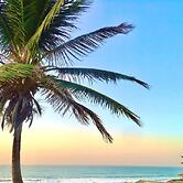 Fajara Resort
