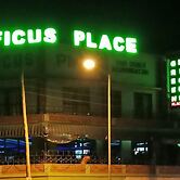 Green Ficus Place