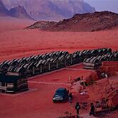 Bedouin habits tours camp