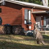 Wonderland Cottages