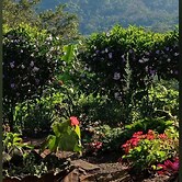 Matagalpa la Tierra Land Of Dreams