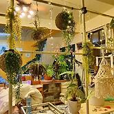 Nasun bed and breakfast