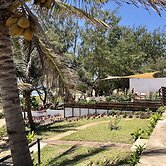 Liquid Dive Adventures