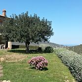 Sulle onde della collina